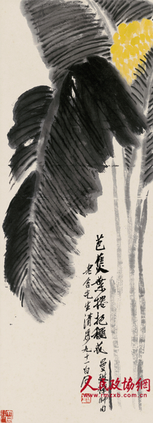 芭蕉叶卷抱秋花 芭蕉叶卷抱秋花