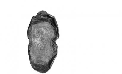 彭山江口出土的银锭。