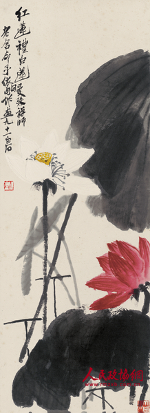 红莲礼白莲 红莲礼白莲