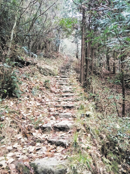 7332441_124836 7332441_124836