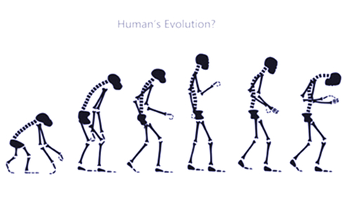 W020131024511885350283 W020131024511885350283