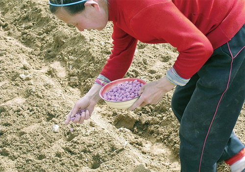 001b38a21ebe11159db503 001b38a21ebe11159db503