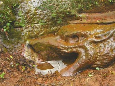 128810784_14582647812181n 128810784_14582647812181n