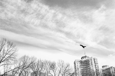 3394562108 3394562108