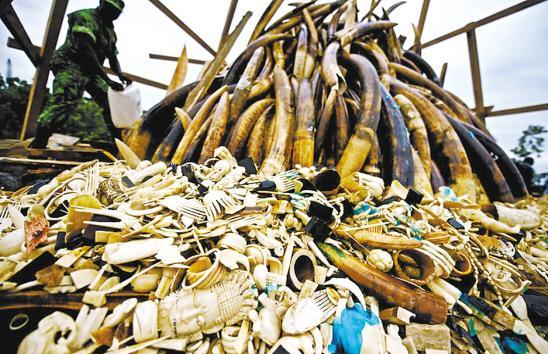 QQ图片20160321094856 QQ图片20160321094856