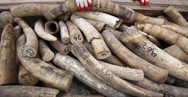 QQ图片20160321094954 QQ图片20160321094954