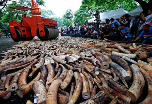 56b988a0ec1f082a526f6d34b43a0668 56b988a0ec1f082a526f6d34b43a0668