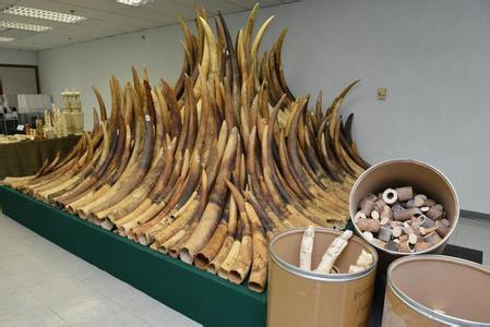 1458476397135212 1458476397135212