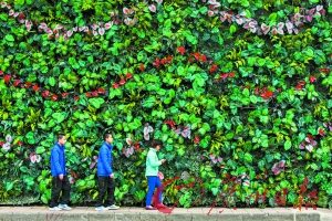 14岁少年突发缄默症不说话什么都要模仿弟弟(图)