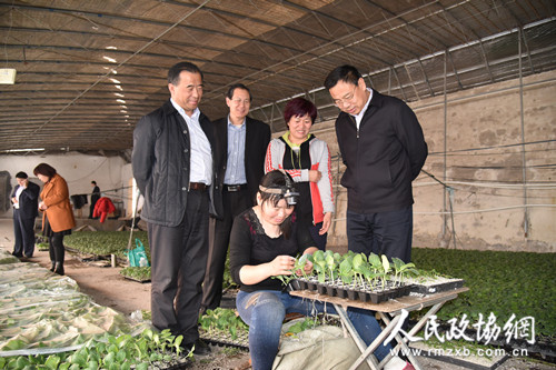 山东省寿光市政协调研种苗产业发展情况