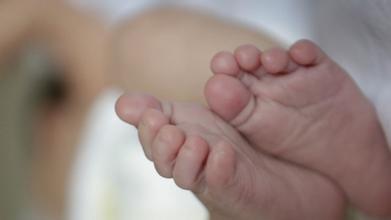 “只生不养” “只生不养”