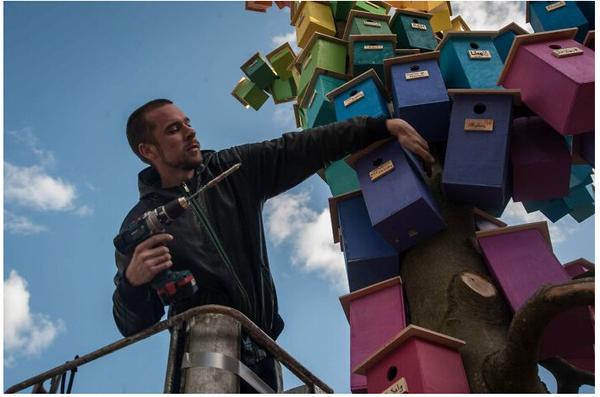 过去7年中，他在世界各地建造的鸟舍超过了3500个。