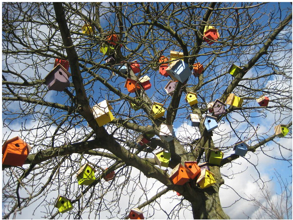 丹博认为人类和自然界的其它物种应该和谐共处。