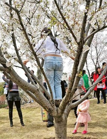 U557P4T8D7807800F107DT20160323081338 U557P4T8D7807800F107DT20160323081338