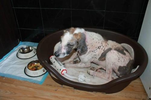 第一次有了温暖的床。