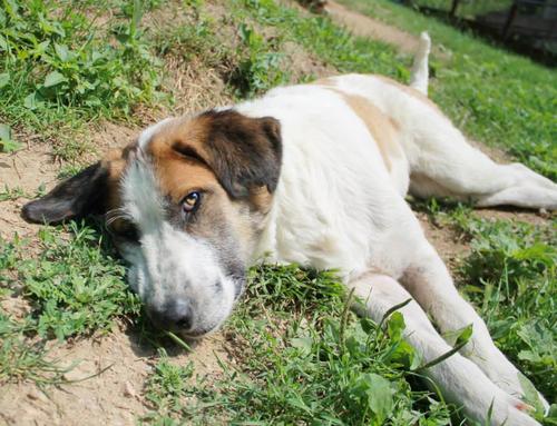 没事晒晒太阳。