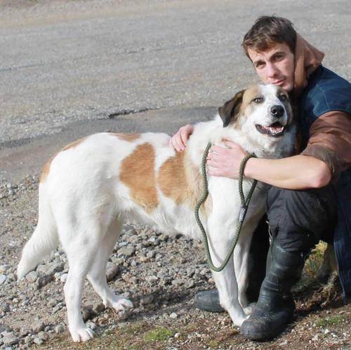 今年1月份，Khaleesi的照片。