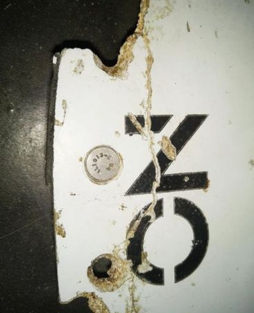 在莫桑比克新发现的物块大约有一米长。