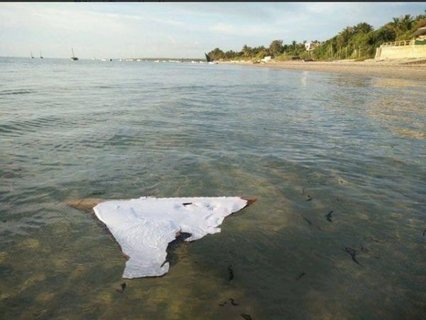 1603030658233 1603030658233