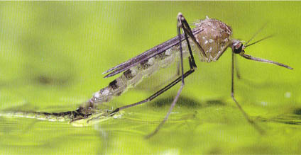 product2c0u145119 product2c0u145119