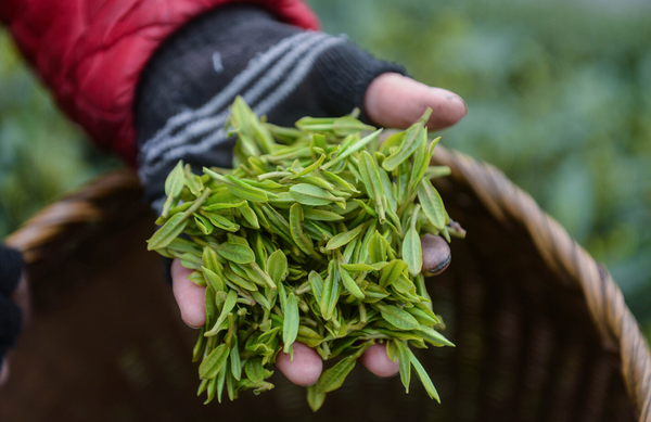 221224_600x600 221224_600x600