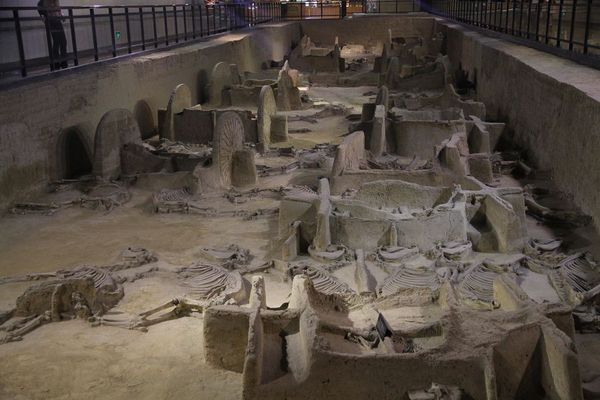 P_5634580_9__1275817030 P_5634580_9__1275817030