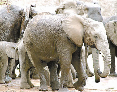 1329897002_2QxQe0 1329897002_2QxQe0