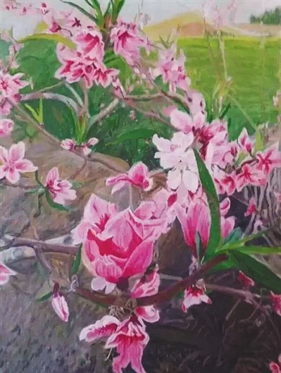 王珍风作品，价格200元，已被收藏。