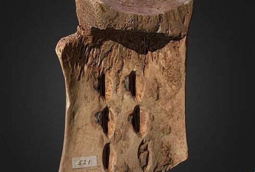 首例3D打印还原甲骨文展出 帮助研究古文