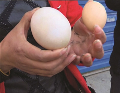 杀鸡取出一巨蛋。