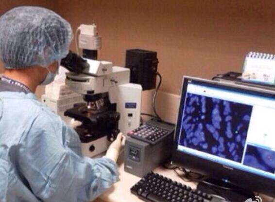 0900330ef61932ffdf32e4c3b15f413e 0900330ef61932ffdf32e4c3b15f413e