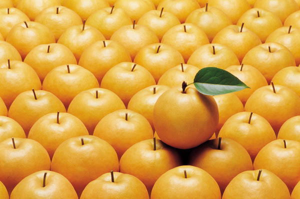 top-724376 top-724376