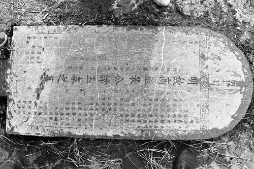 442265_500x500 442265_500x500