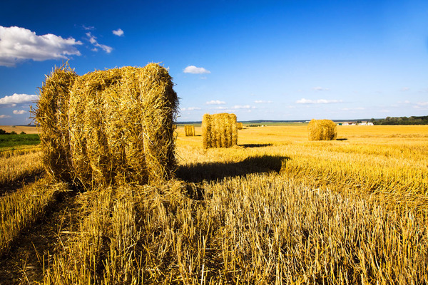 201677-120G31AH723 201677-120G31AH723