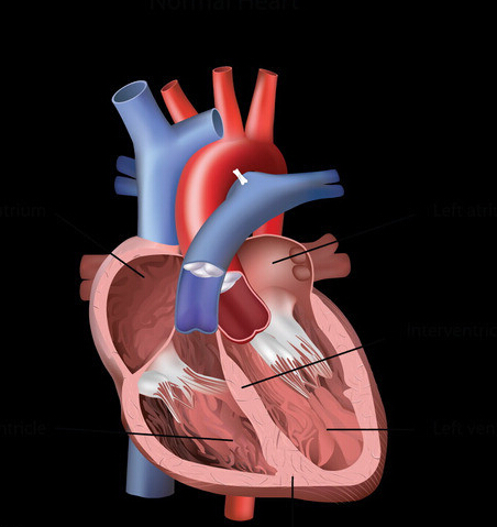 QQ截图20160330092311 QQ截图20160330092311