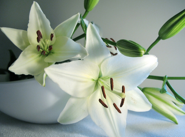 QQ截图20160330094512 QQ截图20160330094512