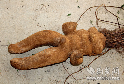 528C573FB3F8A73385B6C400C1775BEB 528C573FB3F8A73385B6C400C1775BEB