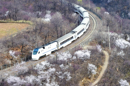 d8cb8a0c657518656b9904 d8cb8a0c657518656b9904