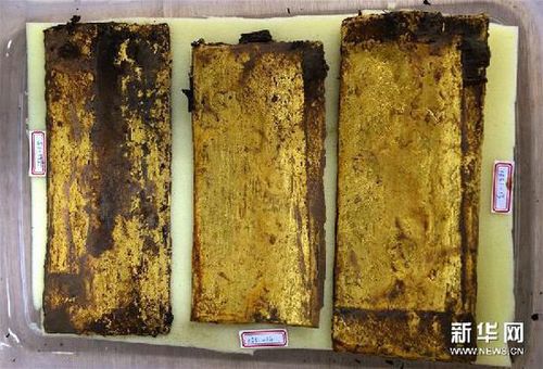 这是在?;韬钅怪鞴壮鐾恋慕鸢澹?2月25日摄)。