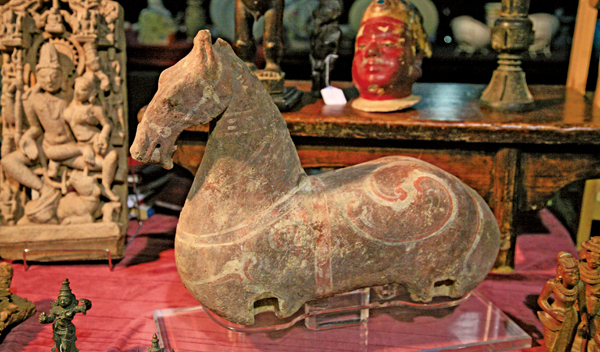 Img442646935 Img442646935