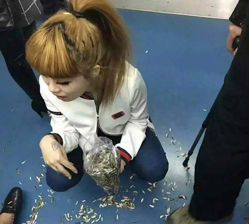 非主流地铁嗑瓜子扔一地 非主流地铁嗑瓜子扔一地