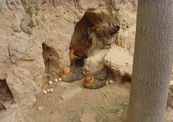 QQ图片20160331094324 QQ图片20160331094324