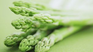 MAIN201603301405085383830263588 MAIN201603301405085383830263588