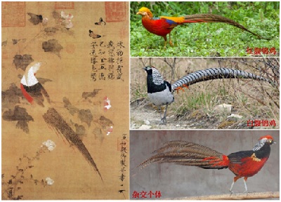 20160328093629740_60645 20160328093629740_60645