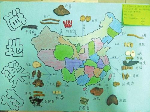 3大学生手绘全国道地药材分布图 花费3小时(图)