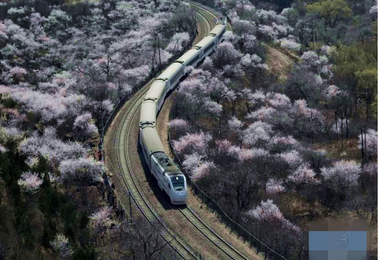 5db32ceb176efe6e673d3f00b5974f0a 5db32ceb176efe6e673d3f00b5974f0a