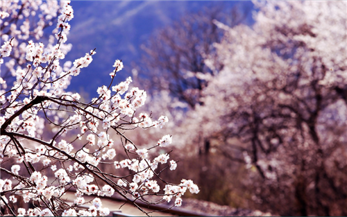 20160329123604267 20160329123604267