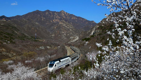 QQ图片20160331173603 QQ图片20160331173603