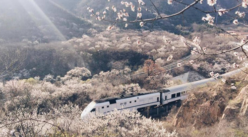 QQ图片20160331173647 QQ图片20160331173647