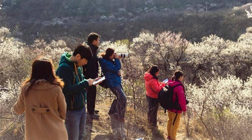 QQ图片20160331173707 QQ图片20160331173707